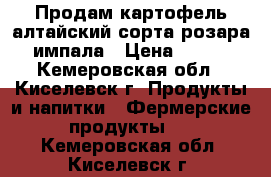 Продам картофель алтайский,сорта:розара,импала › Цена ­ 110 - Кемеровская обл., Киселевск г. Продукты и напитки » Фермерские продукты   . Кемеровская обл.,Киселевск г.